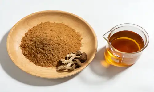 Oyster Mushroom Extract vs Lion's Mane: Which Is Better?